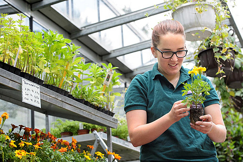 Une femme se tient dans une jardinerie et tient une plante en pot.