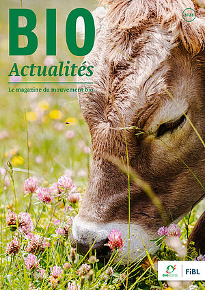 Page de couverture du Bioactualités 3|23: un veau au pâturage