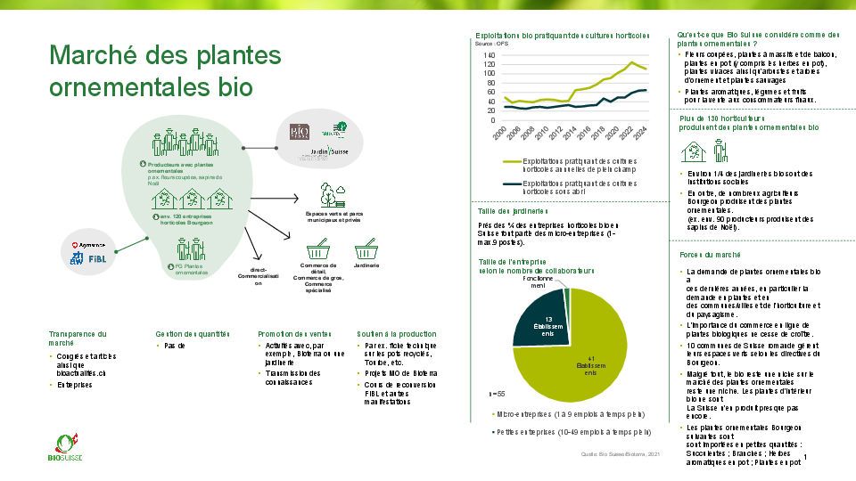 Le marché des plantes ornementales bio en un coup d’œil