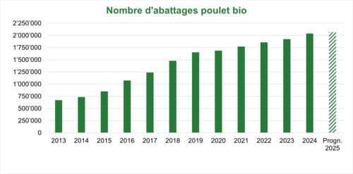 Nombre de poussins bio souches chairs en suisse