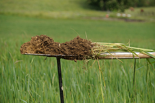 Un morceau de terre creusé à l'aide d'une bêche est tenu en l'air à l'horizontale.
