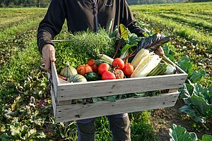 Une caisse de légumes de l’exploitation NaturGut Katzhof à Richental, Lucerne. Photo: Bio Suisse, Luc Kämpfen