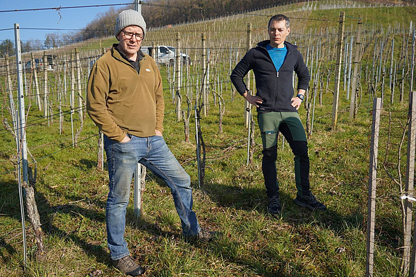 Deux hommes se tiennent dans un vignoble.