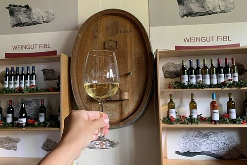 Gestelle mit Weinen und ein Glas mit Weisswein