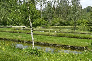 Bassins àpoisson dans un paysage vert