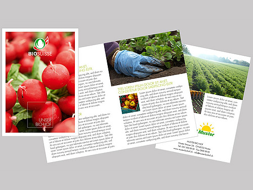 Trois pages du modèle de brochure 