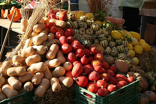 Des courges differents sur le marché