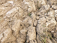 Mottes de terre après la charrue déchaumeuse Kverneland (sans le packomat)