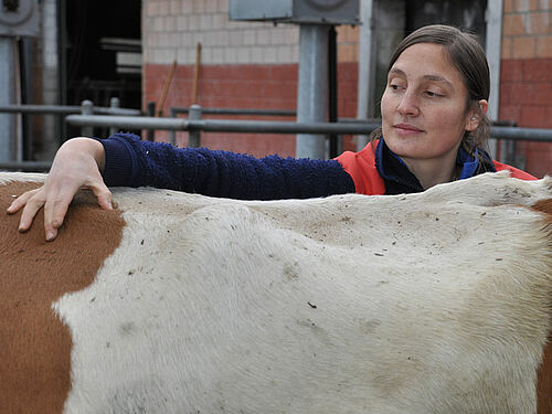 Pamela Stähli promène sa main sur le dos d'une vache pour évaluer son état physique.
Christian Hockenjos devant sa ferme; il y a un pot de fleur suspendu à gauche de sa tête.