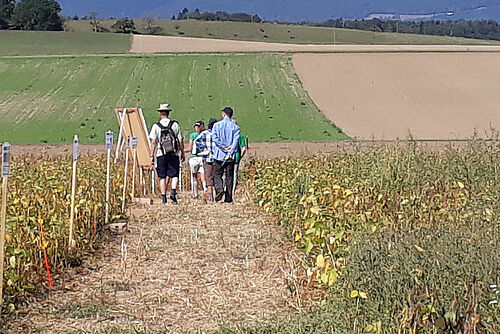 Un groupe de personnes dans un champ de soja