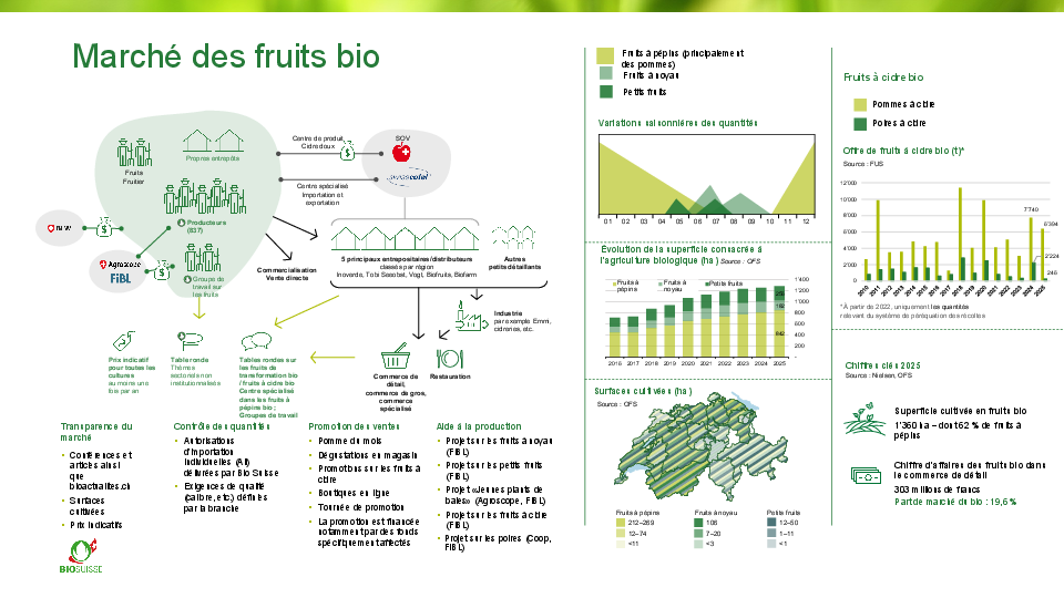 Le marché des fruits bio en un coup d’œil