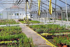 [Translate to Französisch:] 