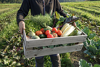 Une personne porte une corbeille plein de légumes.
