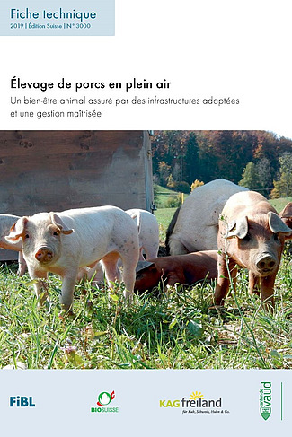 Page d'accueil de la fiche technique élevage de porcs en plein air.