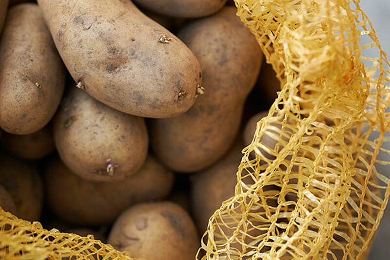 Sécheresse: menace sur les pommes de terre - l'Opinion