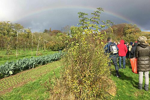 Rangées d'arbres avec des légumes entre deux; sur le côté, un groupe de visiteurs.