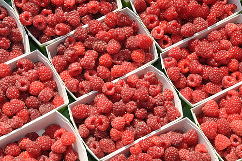 Petits ramequins en carton garnis de framboises.