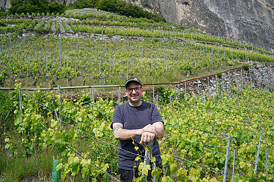 Portrait de Yann Comby dans son vignoble.