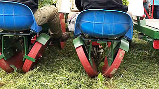 Machine à planter les jeunes plants de légumes dans un champ recouverts de paillis