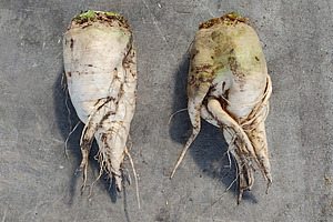 [Translate to Französisch:] 