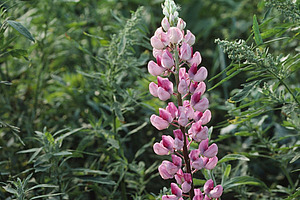 [Translate to Französisch:] 