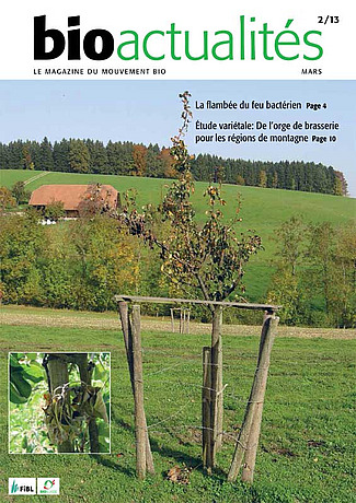 titre bio actualités 2/13