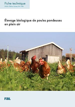 Quelle nourriture pour mes poules pondeuses ? – Fermes et Jardins