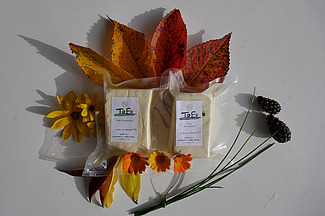 Deux paquets de tofu, autour d'eux il y a quelques fleurs.