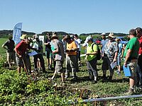 Groupe de personnes au bout d'un champ de pommes de terre.