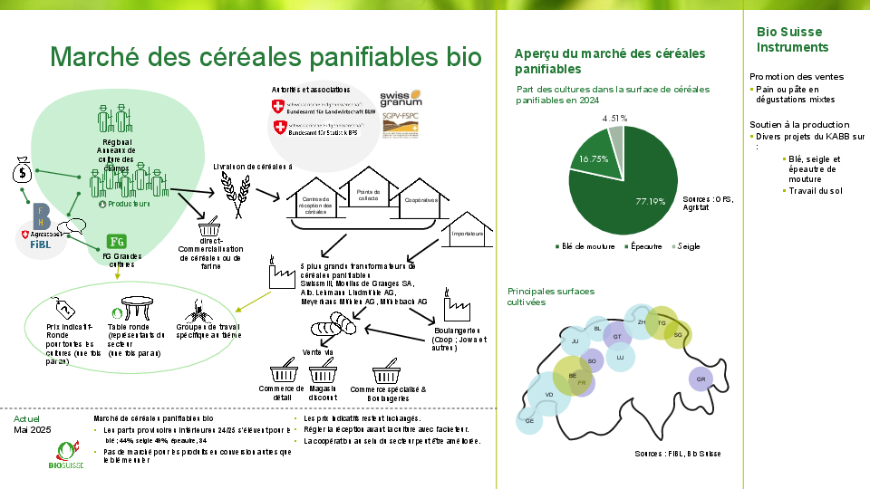 Le marché des céréales panifiables bio en un coup d’œil