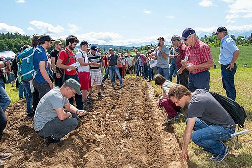 Les visiteurs de la journée de construction Bioacker se penchent sur les sillons des charrues.