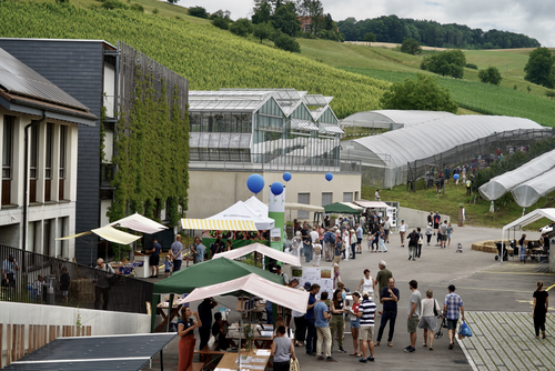Gebäude und ein Platz mit vielen Ständen, Menschen und Luftballons. 