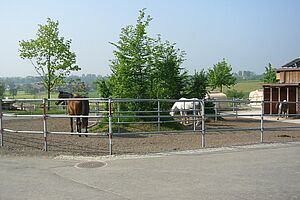 Une aire d'exercice en dur avec des chevaux.