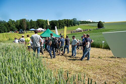 Visiteurs près d'un champ de blé
