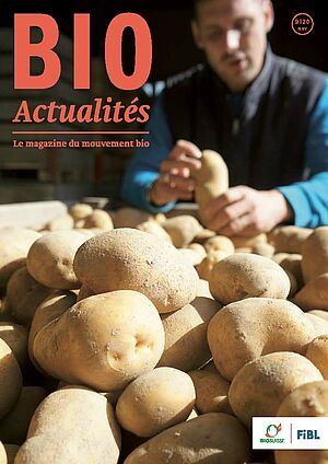 Page de couverture du Bioactualités 9|2020: Pommes de terre étalés