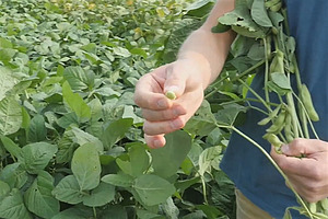 [Translate to Französisch:] 