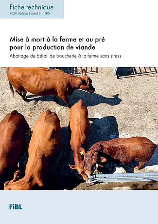 Page de couverture avec cinq bovins bruns