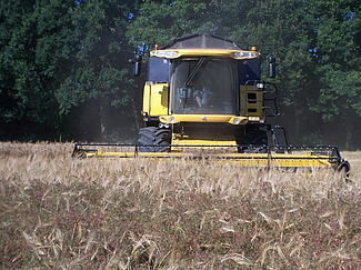 Moissonneuse-batteuse en fauchant un champ d'orge.