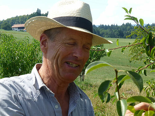 Portrait de Jean_Luc Tschabold souriant avec un chapeau de paille.
Baies bleu foncé d'aronia sur leur buisson.
Jean-Luc Tschabold en train d'observer un de ses poiriers. 