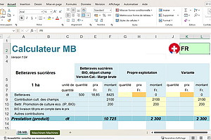 capture d'écran du fichier excel permettant le calcul des marges brutes.