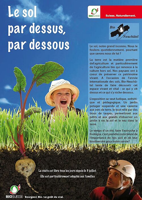 Affichette de présentation du projet
Quatre photos du jardin suspendu