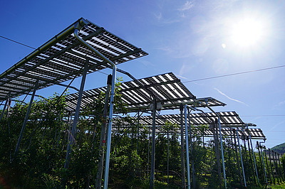 Installation Agri-PV au soleil.