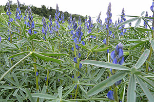 [Translate to Französisch:] 