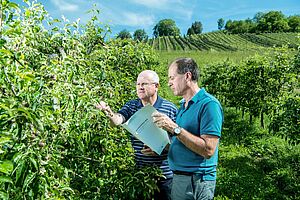 Deux hommes dans une plantation de fruits.