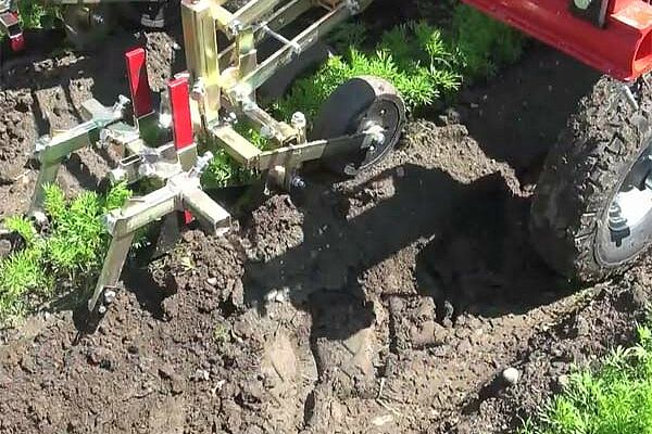 Machine appelée parallélogramme duo et utilisée pour  la régulation mécanique des adventices en cultures maraîchères