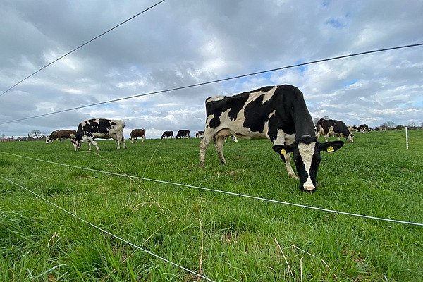 [Translate to Französisch:] 