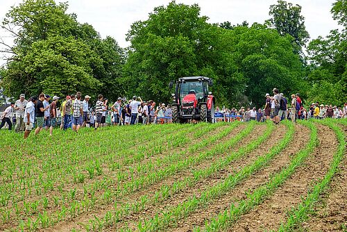 Tracteur avec hacheur en service dans le champ de maïs, entouré de nombreux spectateurs