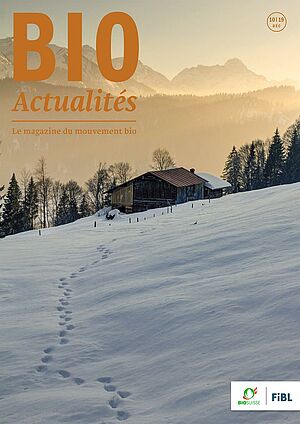 Couverture du Bioactualités 10|2019 - paysage d'hiver