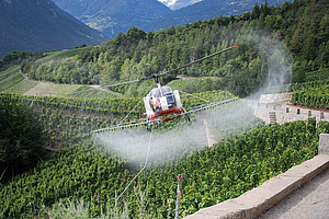 Un hélicoptère disperse des pesticides dans des vignes.