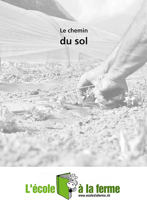 Titre «Le chemin du sol»